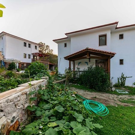 Villa Jasmin Selimiye -With Pool Daily Weekly Rentals Marmaris Exterior foto