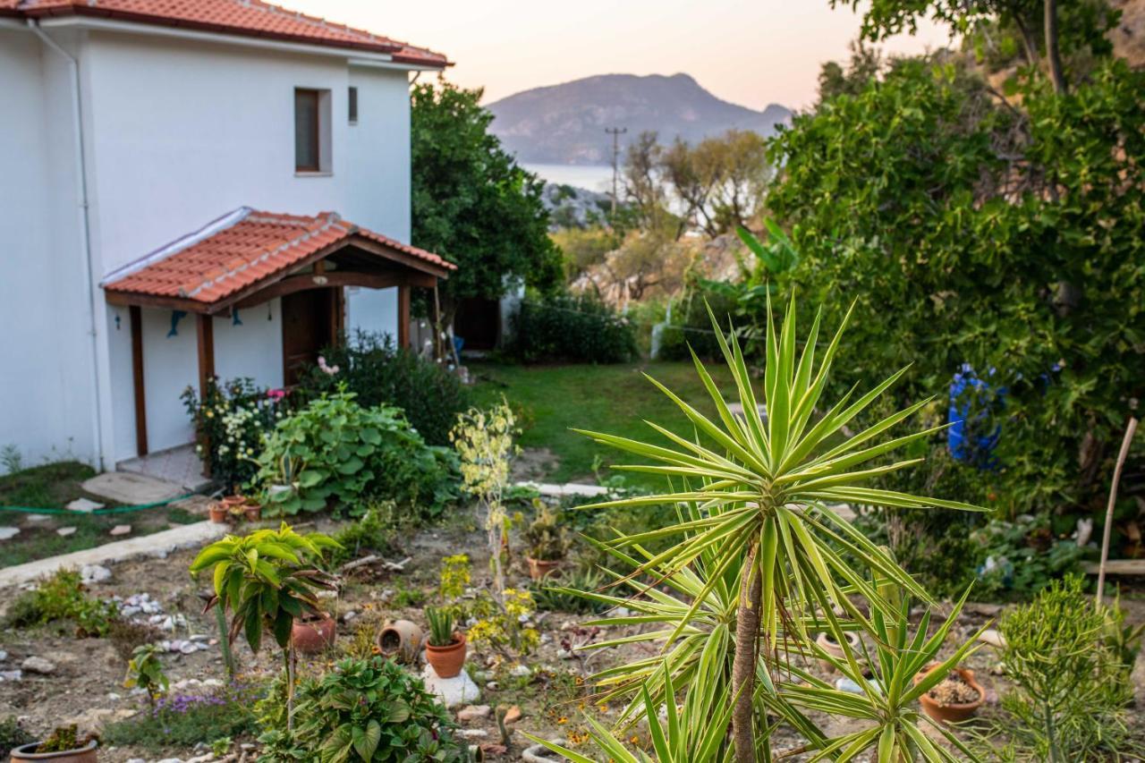 Villa Jasmin Selimiye -With Pool Daily Weekly Rentals Marmaris Exterior foto