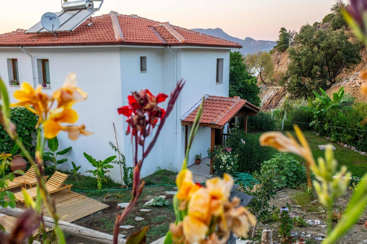 Villa Jasmin Selimiye -With Pool Daily Weekly Rentals Marmaris Exterior foto